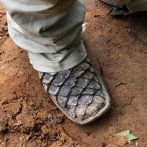 Meet your Posher, Luis